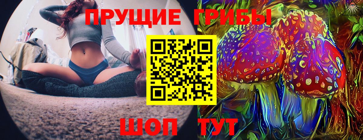 Галлюциногенные грибы Cubensis  Псилоцибиновые грибы прущие грибы  где можно купить наркотик  Вход с VPN  Осинники 