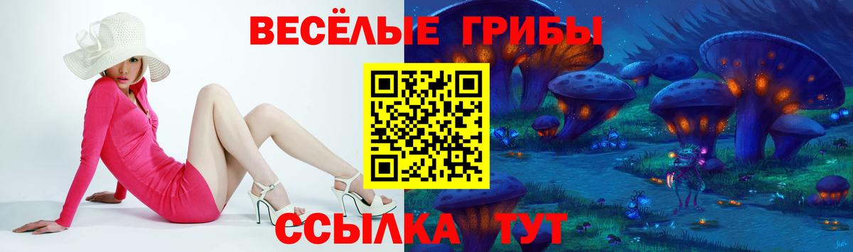 Псилоцибиновые грибы GOLDEN TEACHER Осинники